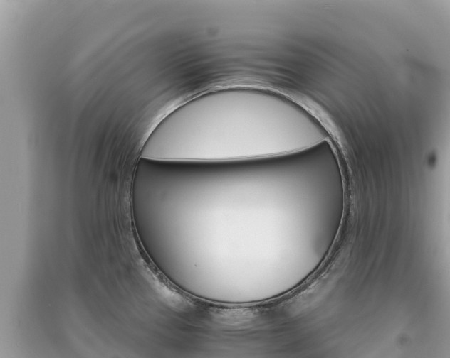 X0000091301337200708101039