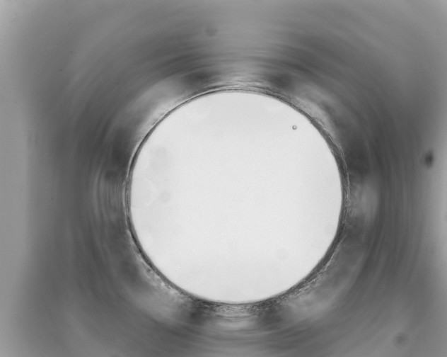 X0000091301338200708101039