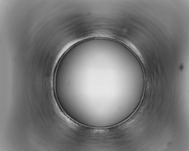 X0000091301339200708101039