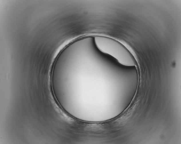 X0000091301341200708101039