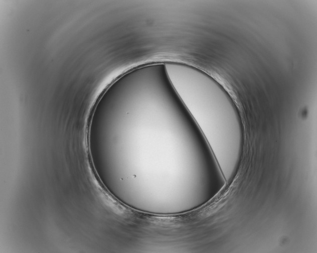 X0000091301342200708101039