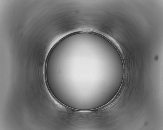 X0000091301343200708101039