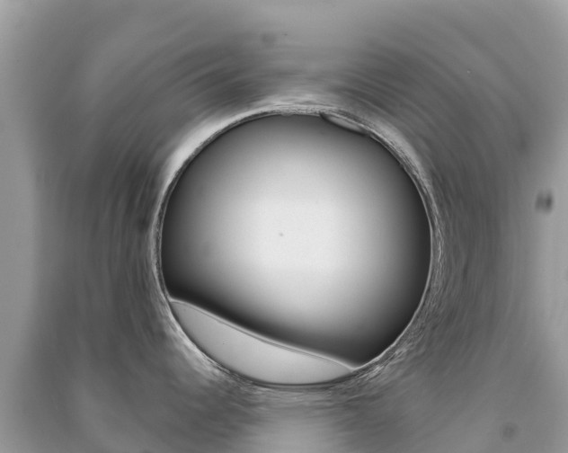X0000091301344200708101039