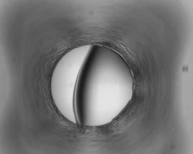 X0000091301345200708101039
