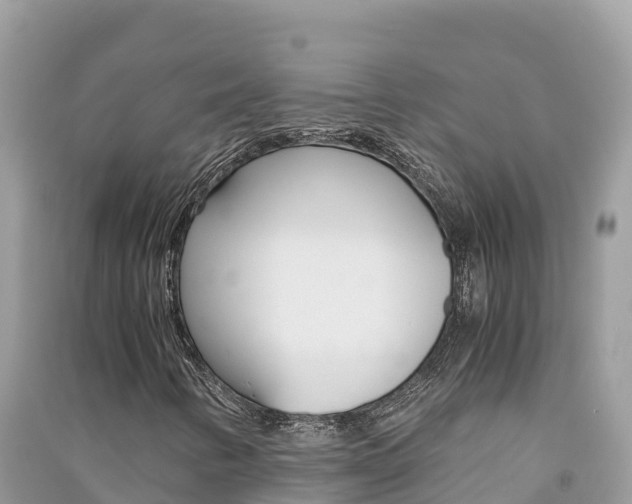 X0000091301346200708101039