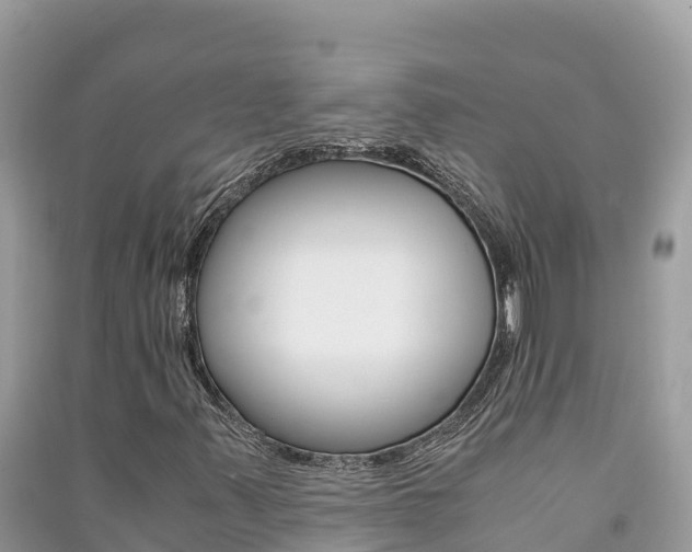X0000091301347200708101039