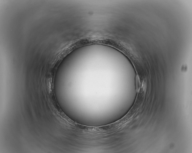 X0000091301348200708101039