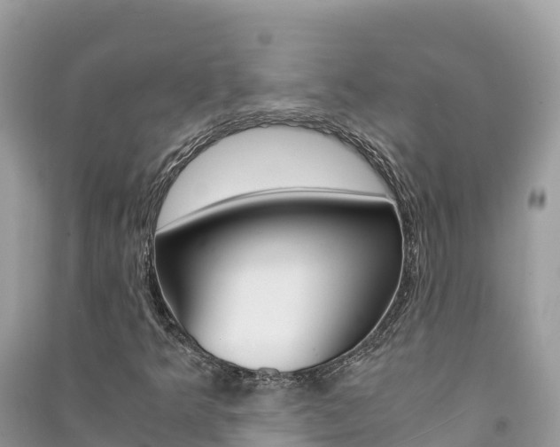 X0000091301349200708101039