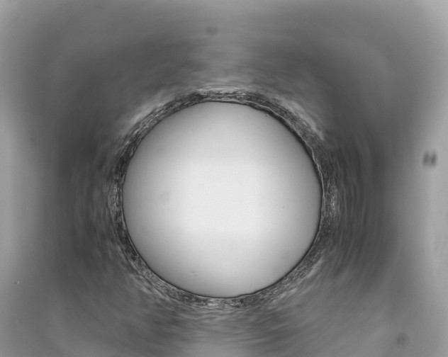 X0000091301350200708101039