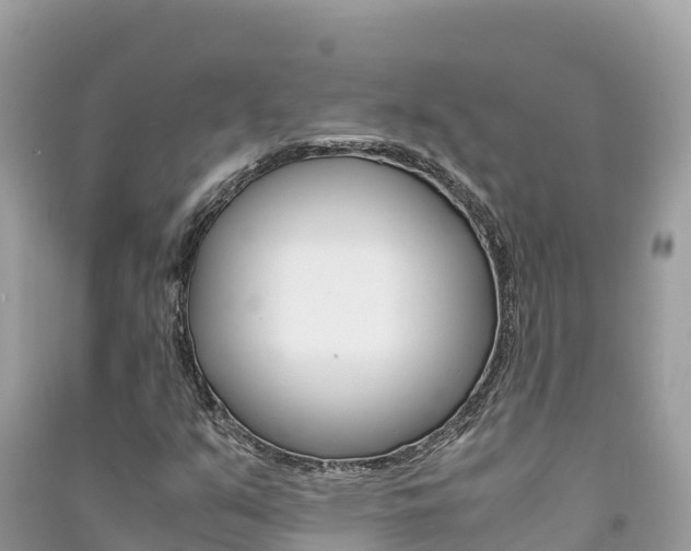 X0000091301351200708101039