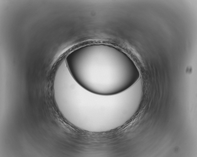 X0000091301352200708101039
