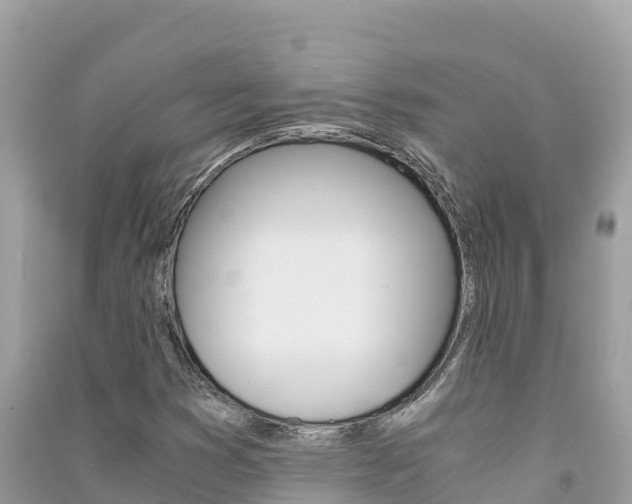 X0000091301353200708101039