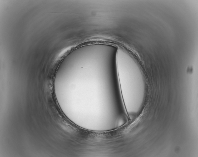 X0000091301355200708101039