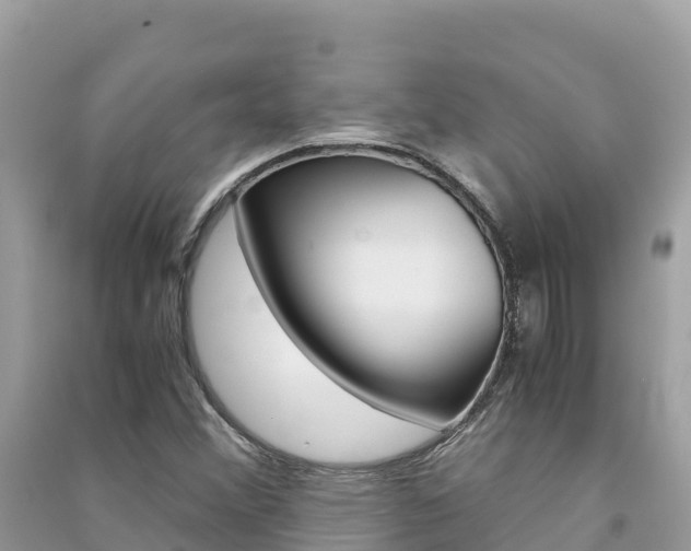 X0000091301356200708101039