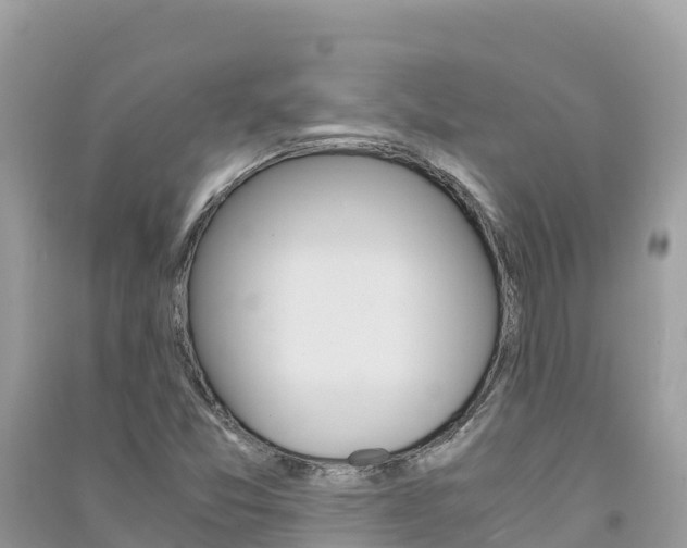 X0000091301357200708101039