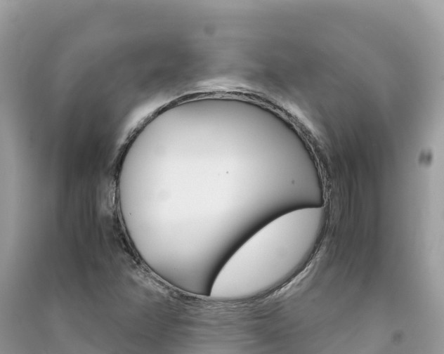 X0000091301358200708101039