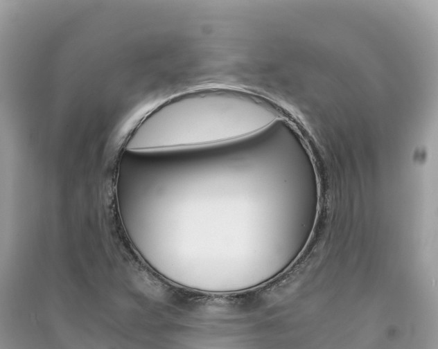 X0000091301359200708101039