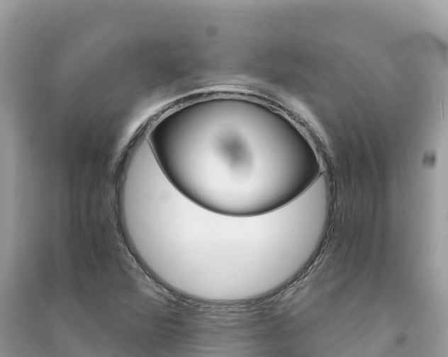 X0000091301360200708101039