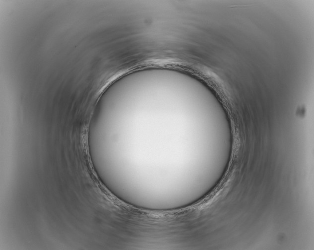 X0000091301361200708101039