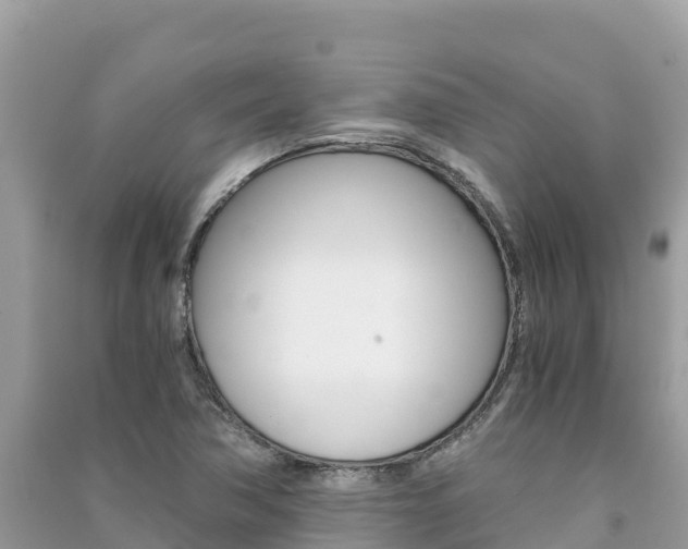 X0000091301362200708101039