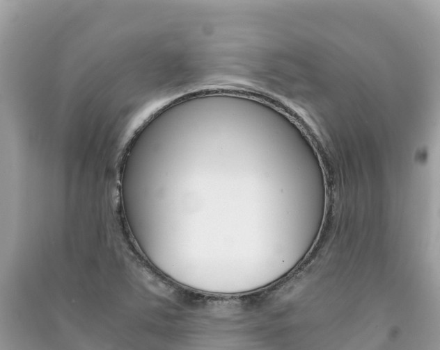 X0000091301363200708101039