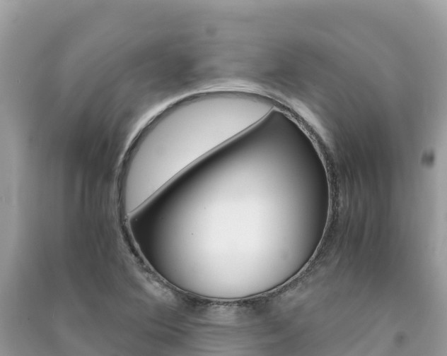 X0000091301364200708101039