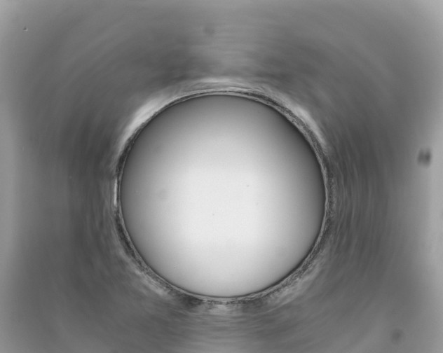 X0000091301365200708101039