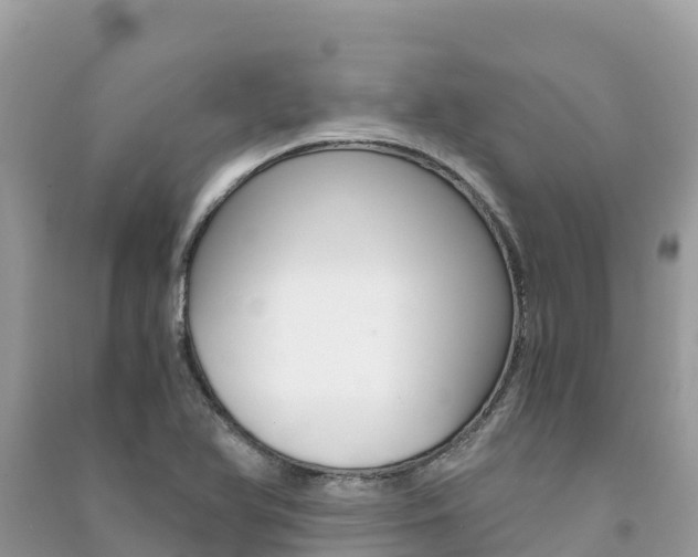 X0000091301366200708101039