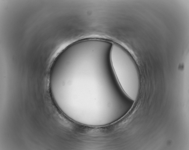 X0000091301367200708101039