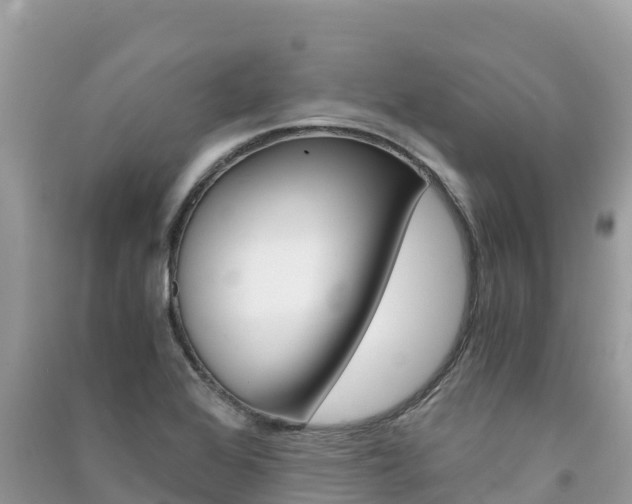 X0000091301368200708101039