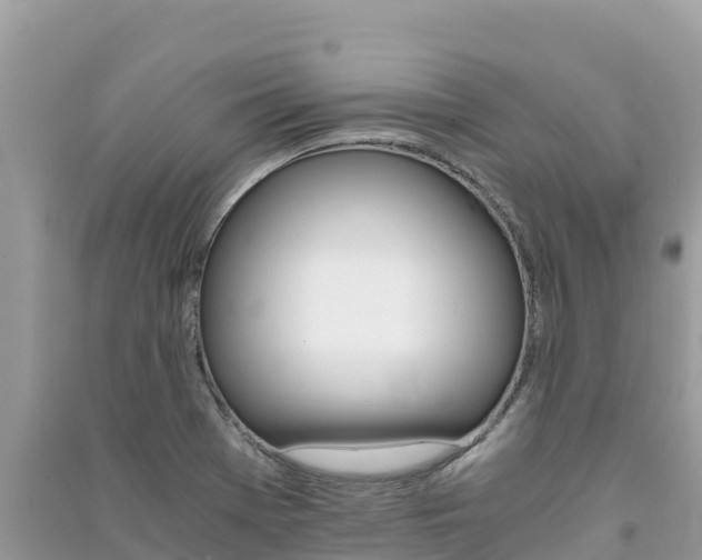 X0000091301369200708101039
