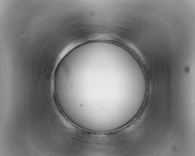 X0000091301370200708101039
