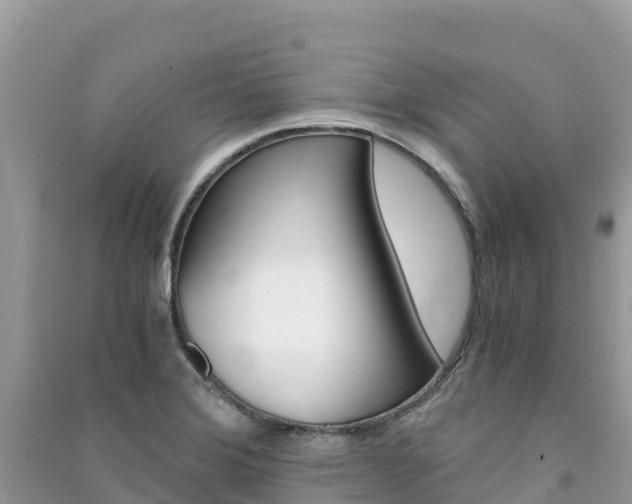 X0000091301372200708101039