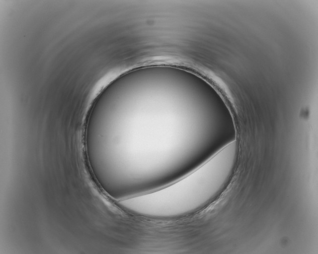 X0000091301373200708101039