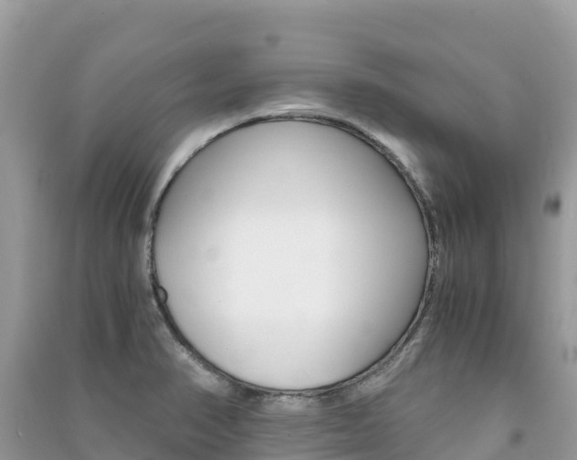 X0000091301374200708101038