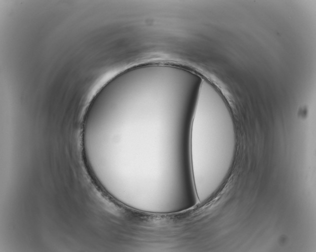 X0000091301375200708101038