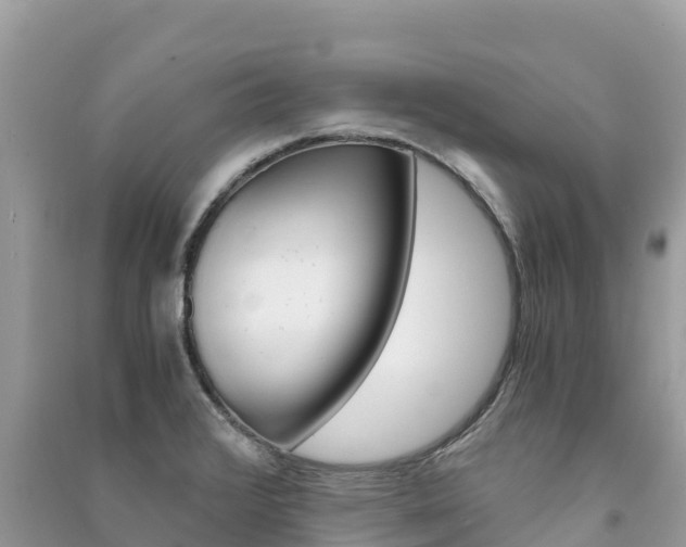 X0000091301376200708101038
