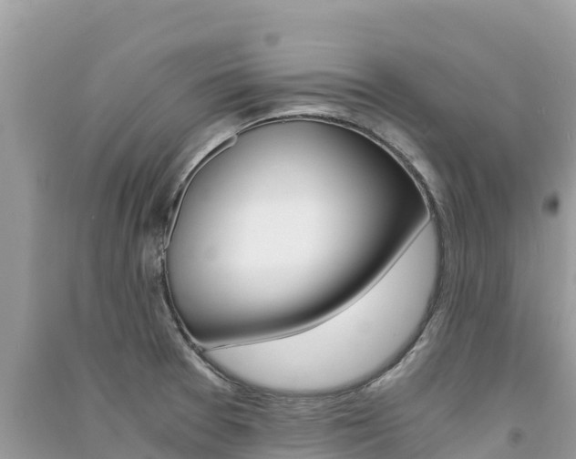 X0000091301377200708101038