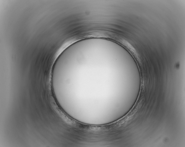 X0000091301378200708101038