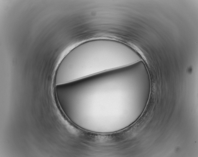X0000091301379200708101038