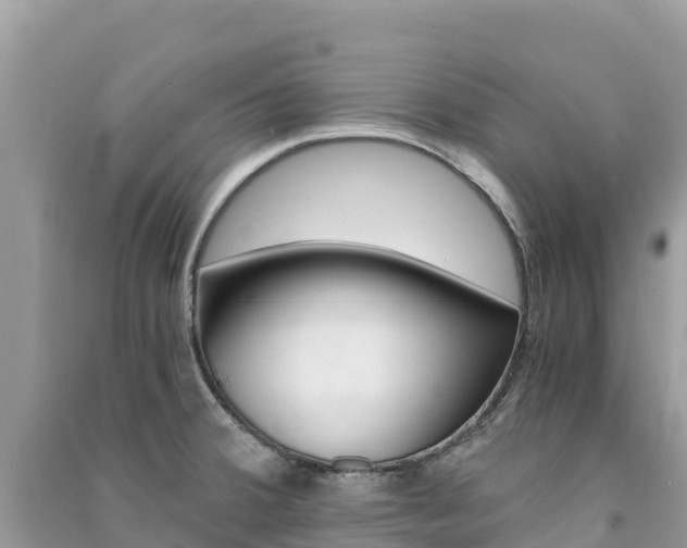 X0000091301380200708101038