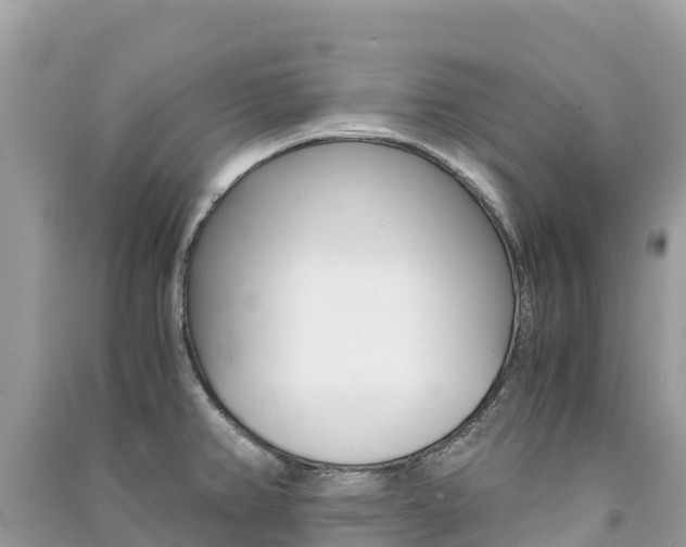 X0000091301382200708101038