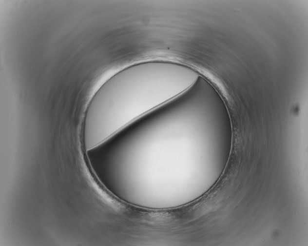X0000091301383200708101038