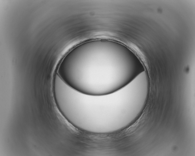 X0000091301384200708101038