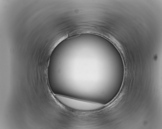X0000091301385200708101038