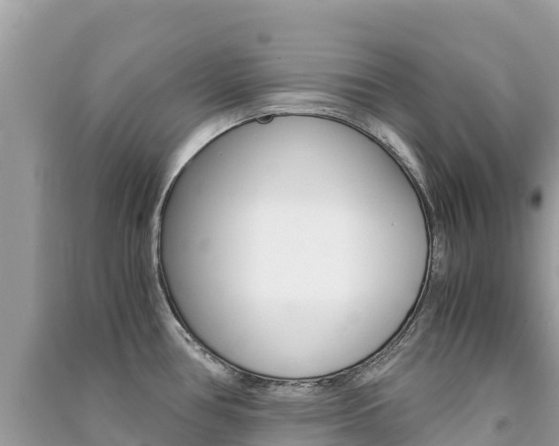 X0000091301386200708101038