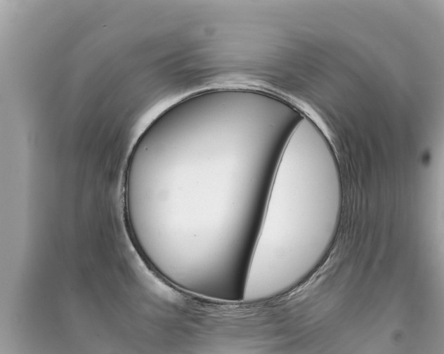 X0000091301387200708101038