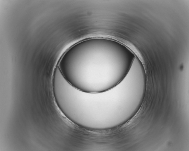X0000091301388200708101038