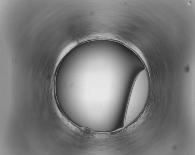 X0000091301389200708101038
