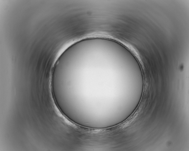X0000091301390200708101038